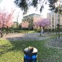 Photo of Spielplatz & Freizeitfläche