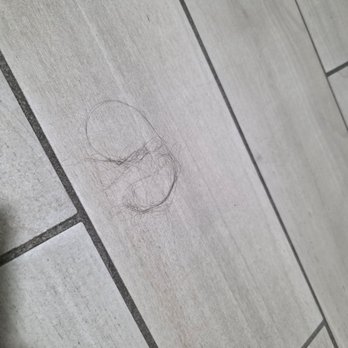 Quality Inn Show Low - Strange hair in the bathroom - Hotels Near Me - Show Low, Arizona