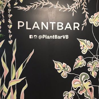 PlantHouse - Arts & Crafts Near Me - Virginia Beach, Virginia