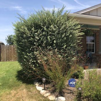 Liberty Lawn Care - Before - Landscaping Near Me Liberty Lawn Care - Before - Landscaping Near Me