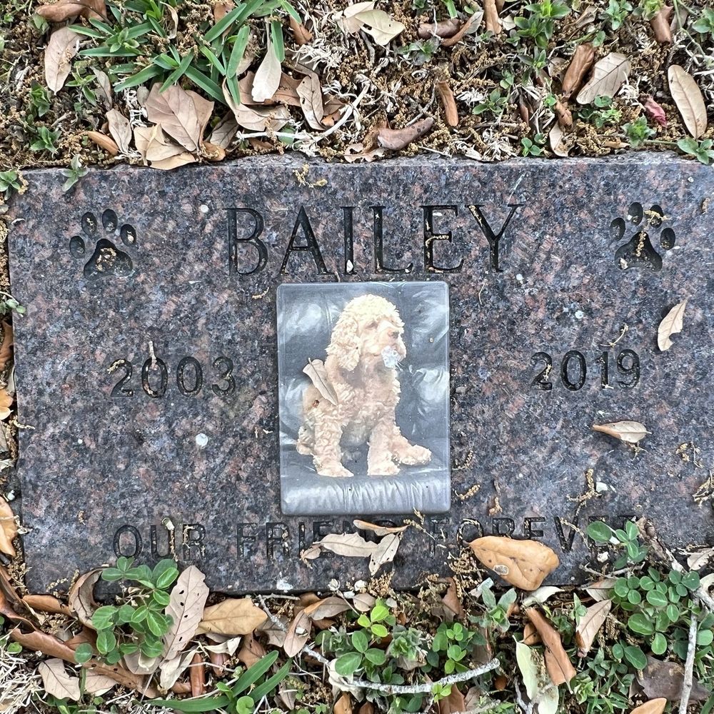 Broward Pet Cemetery - Funeral Services & Cemeteries Near Me - Plantation, Florida Broward Pet Cemetery - Funeral Services & Cemeteries Near Me - Plantation, Florida