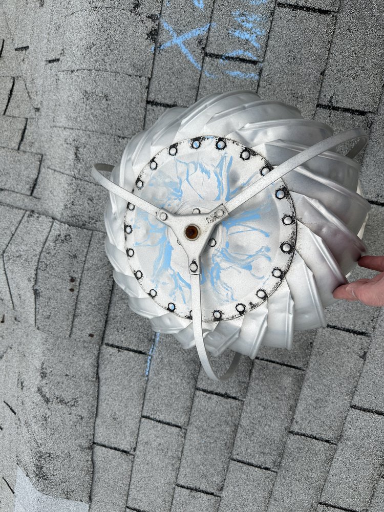 Slide of Beyond Shingles