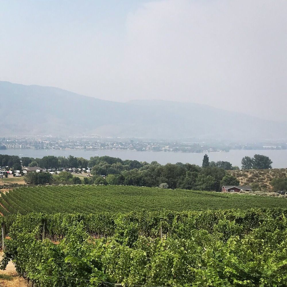Nk'Mip Cellars - Beer, Wine & Spirits Near Me - Osoyoos, British Columbia Nk'Mip Cellars - Beer, Wine & Spirits Near Me - Osoyoos, British Columbia