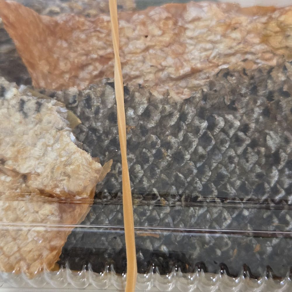Got'z Grindz - Salmon skin - my fav - Japanese Near Me - Kaneohe, Hawaii Got'z Grindz - Salmon skin - my fav - Japanese Near Me - Kaneohe, Hawaii