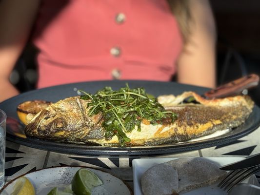 Meso Modern Mediterranean by null