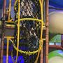 Photo of Lost Island Warrior Gym