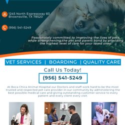 Boca Chica Animal Hospital & Pet Resort