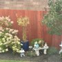 Mountain View Fencing & Decks
