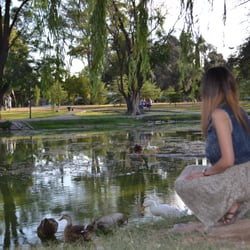 Lago del Parque Sarmiento