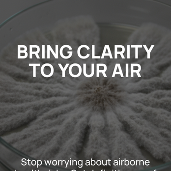 ProDetect Mold Inspection - Environmental Testing Near Me - West Hollywood, California ProDetect Mold Inspection - Environmental Testing Near Me - West Hollywood, California