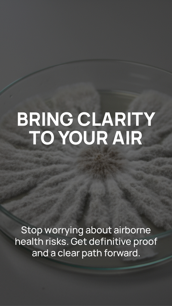 ProDetect Mold Inspection - mold inspector in West Hollywood, CA