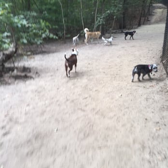 Timber Creek Park - Part of the pack - Dog Parks Near Me - Gloucester Township, New Jersey Timber Creek Park - Part of the pack - Dog Parks Near Me - Gloucester Township, New Jersey