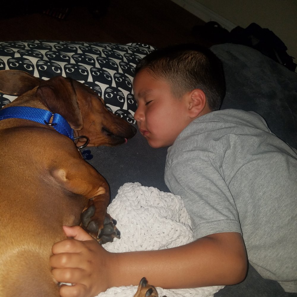 Pet Rescue Solutions - Happy to have him home - Pet Adoption Near Me - South El Monte, California Pet Rescue Solutions - Happy to have him home - Pet Adoption Near Me - South El Monte, California