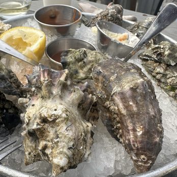 Taylor Shellfish Farms - Seafood Markets Near Me - Bow, Washington Taylor Shellfish Farms - Seafood Markets Near Me - Bow, Washington