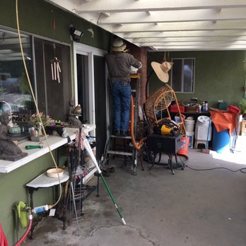 Bee Gone Bee Removal Service - Pest Control Near Me Bee Gone Bee Removal Service - Pest Control Near Me