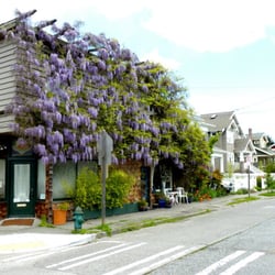 Seattle Institute for Sex Therapy Education and Research