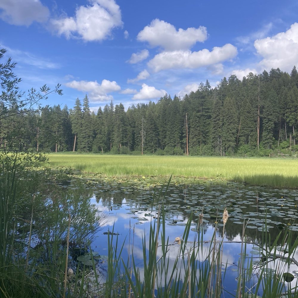 Ponderosa State Park - Lily marsh - Boating Near Me - McCall, Idaho Ponderosa State Park - Lily marsh - Boating Near Me - McCall, Idaho