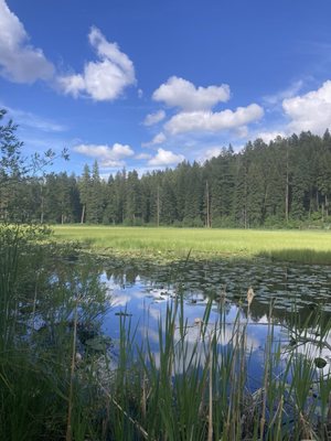 Ponderosa State Park by null
