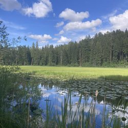 Ponderosa State Park - Lily marsh