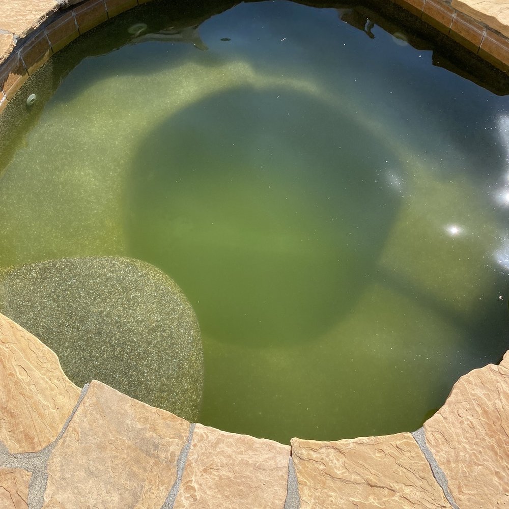 Private Oasis Pool Service - Algae - Pool Cleaners Near Me Private Oasis Pool Service - Algae - Pool Cleaners Near Me