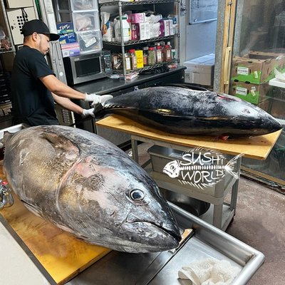 Sushi World by null