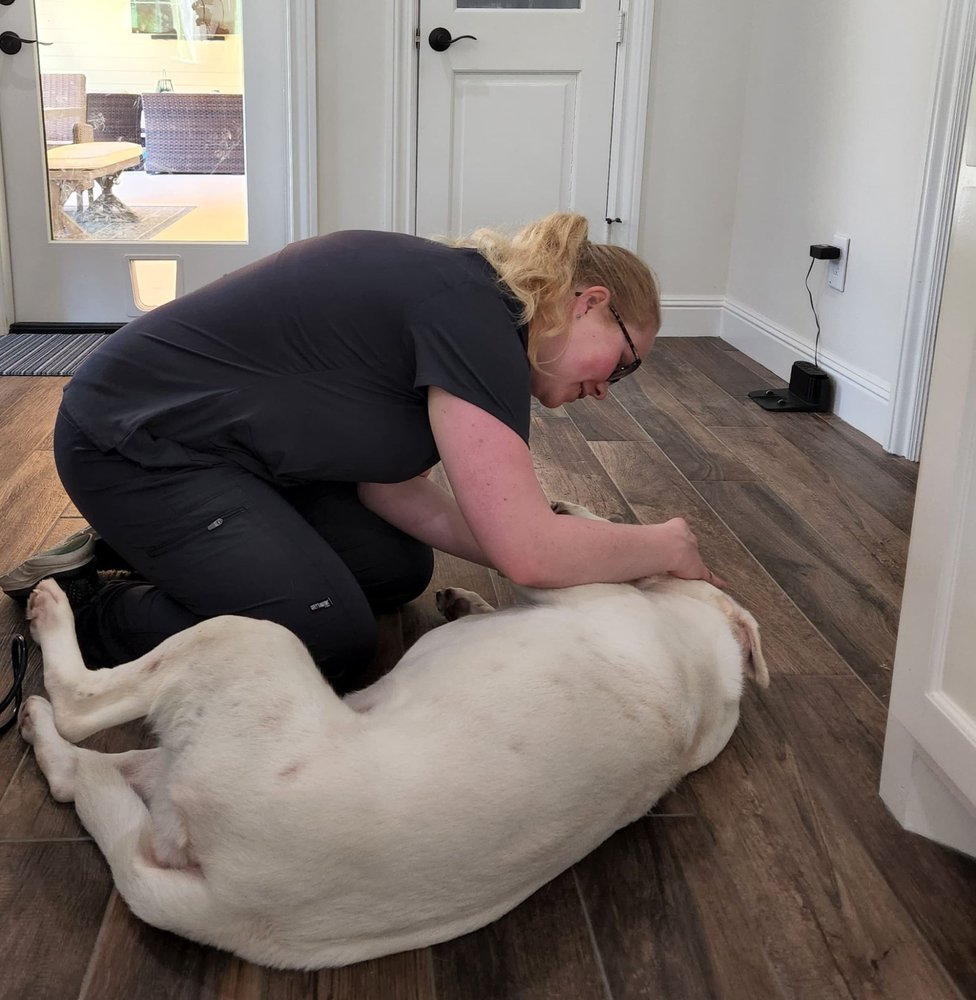 MY HOUSE VET Updated September 2024 The Woodlands, Texas