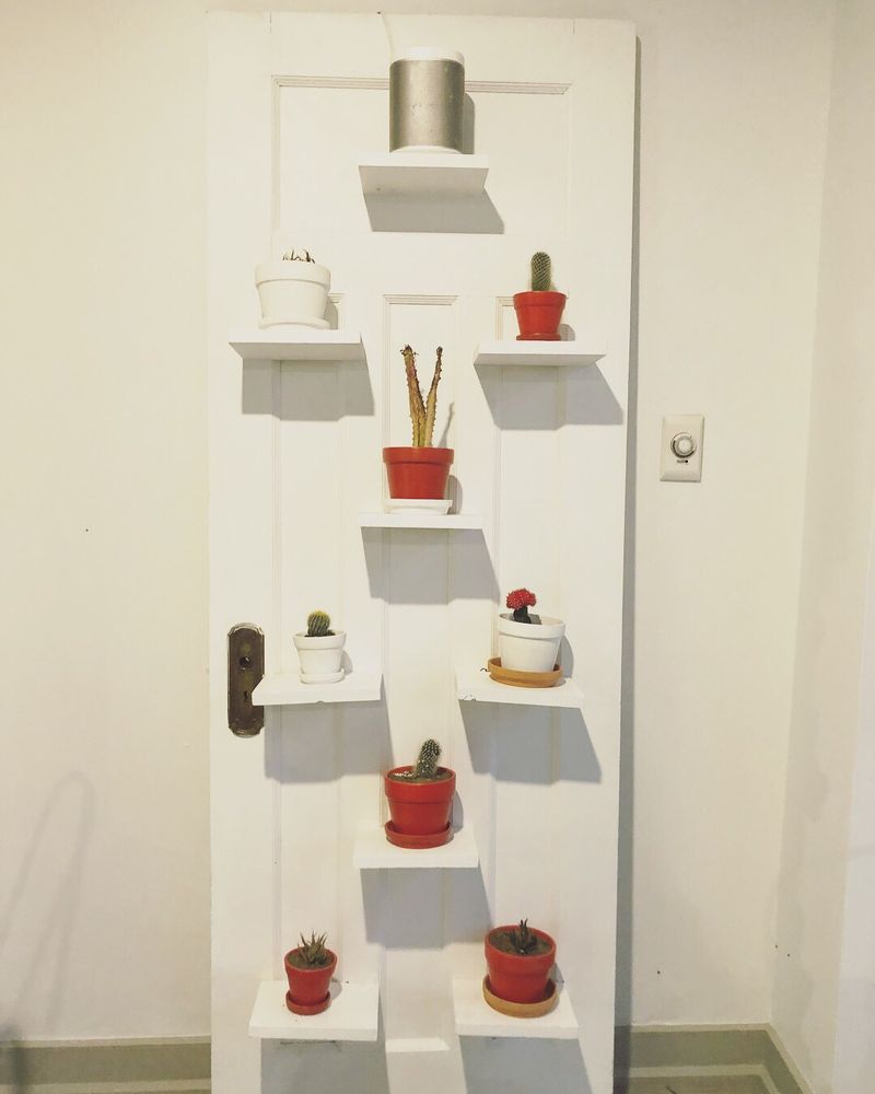 AMO GELATO CAFE Updated August 2024 16 Photos & 12 Reviews 171