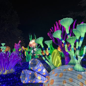 China Lights Wisconsin - Festivals Near Me - Hales Corners, Wisconsin China Lights Wisconsin - Festivals Near Me - Hales Corners, Wisconsin