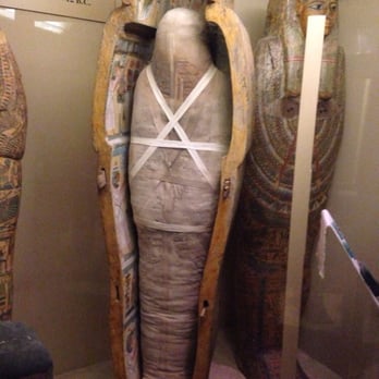 Field Museum - Museums Near Me - Chicago, Illinois Field Museum - Museums Near Me - Chicago, Illinois
