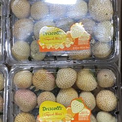 Driscoll’s