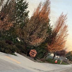 Storey Bark Park