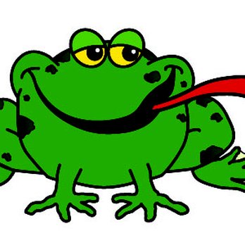 Bullfrog Pest Management - Pest Control Near Me Bullfrog Pest Management - Pest Control Near Me