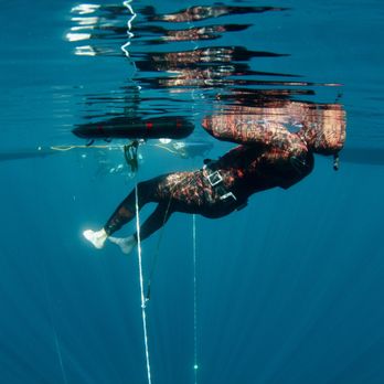 MBAY Freediving - Free Diving Near Me - Monterey, California MBAY Freediving - Free Diving Near Me - Monterey, California
