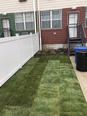 Laying Fresh Sod - Ready for a lush, green lawn? Our team specializes in laying fresh sod to give your yard an instant upgrade! Enjoy a vibrant, healthy landscape in no time. Laying Fresh Sod - Ready for a lush, green lawn? Our team specializes in laying fresh sod to give your yard an instant upgrade! Enjoy a vibrant, healthy landscape in no time.
