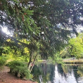 Laurelhurst Park - Parks Near Me - Portland, Oregon Laurelhurst Park - Parks Near Me - Portland, Oregon