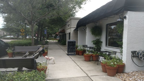 Paloma Parlor by null