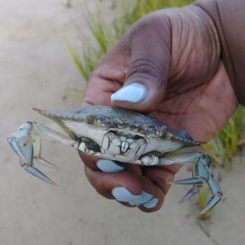 Million Nails & Spa - 3 week old ANC nails. They still look great. Thats my beach friend - Nail Salons Near Me - Jacksonville, Florida Million Nails & Spa - 3 week old ANC nails. They still look great. Thats my beach friend - Nail Salons Near Me - Jacksonville, Florida
