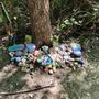 Photo of Keller Rock Art Trail