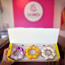 Domo Arcadia - Mochinuts!! Ube Latte, Mango, and Custard Pudding flavors (deal of 3 for $7.50)