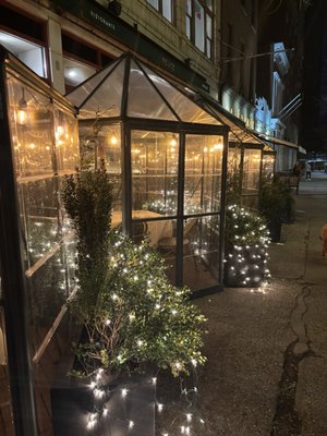 Felice Montague by null