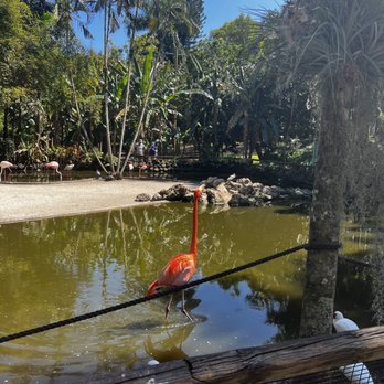 Flamingo Gardens - Botanical Gardens Near Me - Davie, Florida Flamingo Gardens - Botanical Gardens Near Me - Davie, Florida