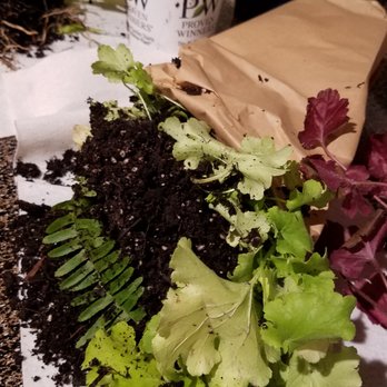 Proven Winners - Nurseries & Gardening Near Me - DeKalb, Illinois