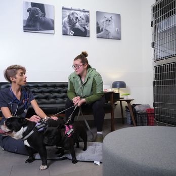 VEG ER for Pets - Emergency Pet Hospital Near Me - Columbus, Ohio VEG ER for Pets - Emergency Pet Hospital Near Me - Columbus, Ohio