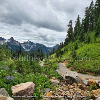 Mount Rainier National Park - Waterfall Trail - Parks Near Me - Ashford, Washington Mount Rainier National Park - Waterfall Trail - Parks Near Me - Ashford, Washington