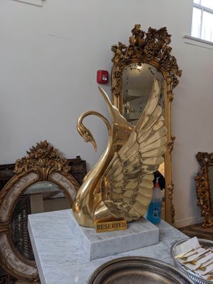 The Buttonwood by null