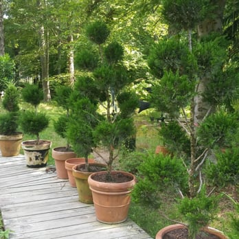 Plants Le Bacle Horticultural Design - Nurseries & Gardening Near Me - New York, New York Plants Le Bacle Horticultural Design - Nurseries & Gardening Near Me - New York, New York