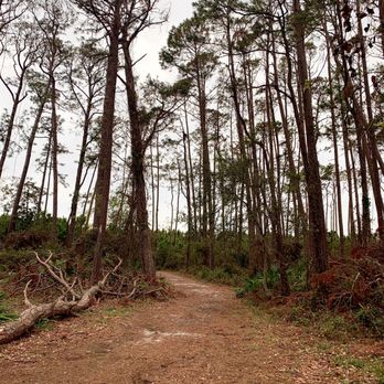 Dauphin Island Campground - Trail to the beach - RV Parks Near Me - Dauphin Island, Alabama