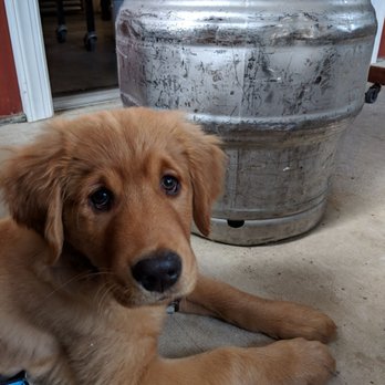 1781 Brewing Company - Breweries Near Me - Spotsylvania, Virginia