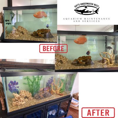 Aquarium maintenance and services - We offer aquarium maintenance and services, which include cleaning, setting up a tank, installing a tank, moving a tank to another location. Maintenance in the tank and more…… Aquarium maintenance and services - We offer aquarium maintenance and services, which include cleaning, setting up a tank, installing a tank, moving a tank to another location. Maintenance in the tank and more……