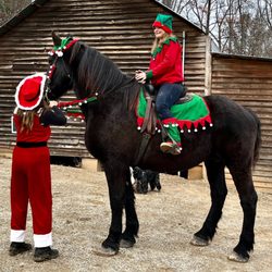 Dead Broke Farm - Ms Claus greeting one of Santa's Elves at our farm.